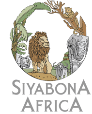 http://thornybush.krugerpark.co.za