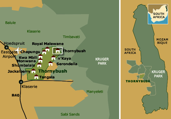 thornybush main lodge map